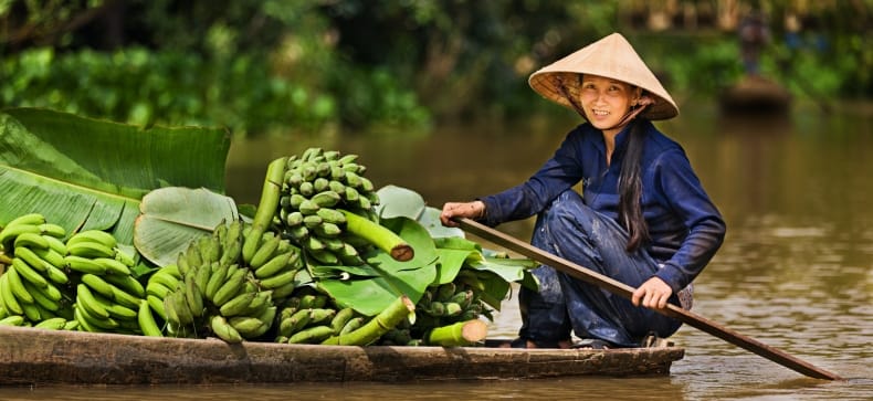 Vietnamas
