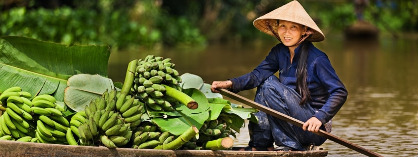 Vietnamas