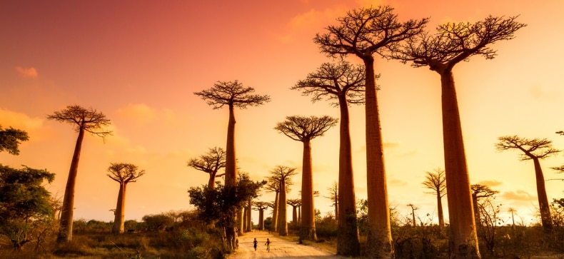 Madagaskaras