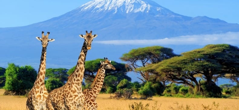 Kenija, Tanzanija ir Zanzibaras