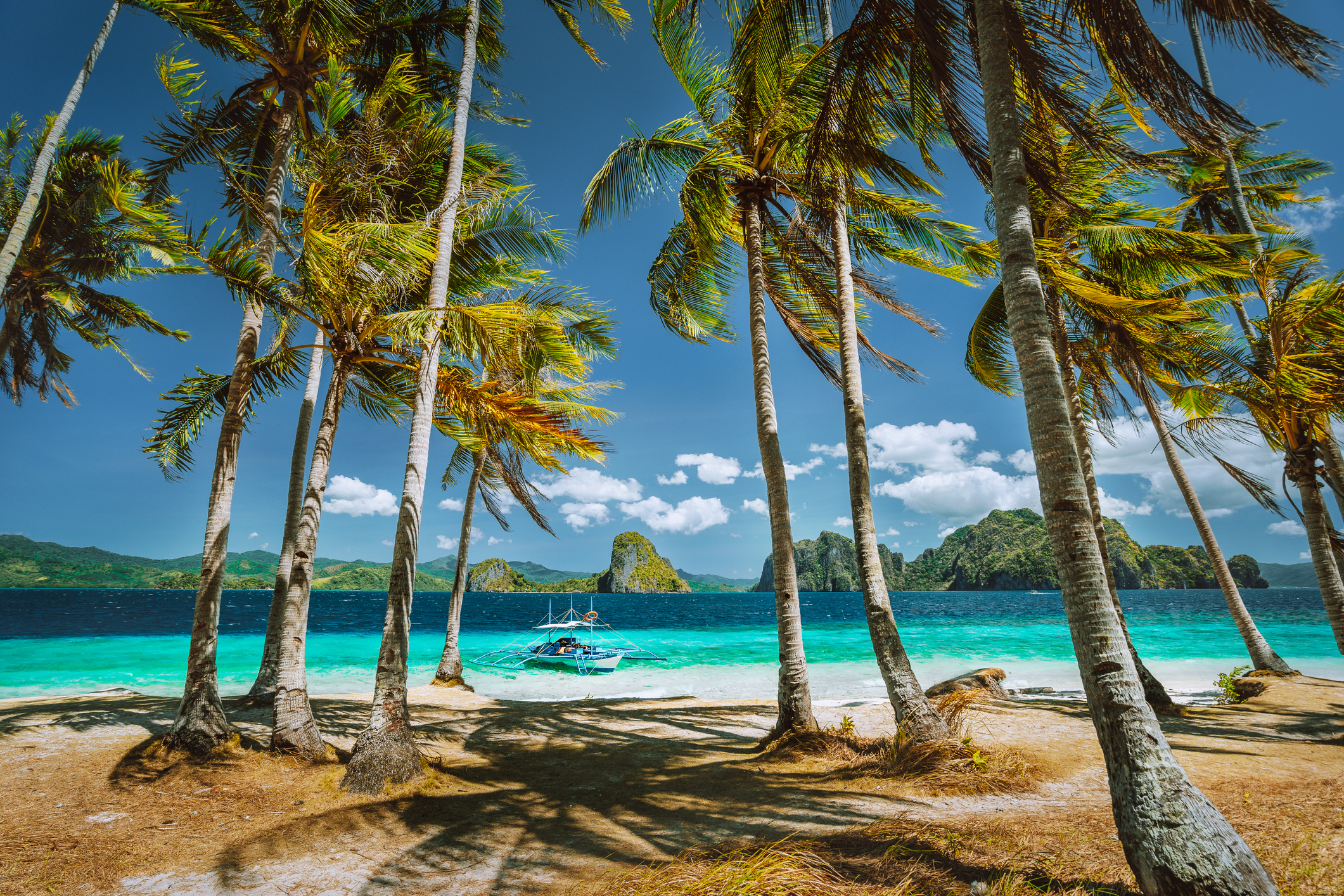 filipinų sveikatos galimybė ir prekyba