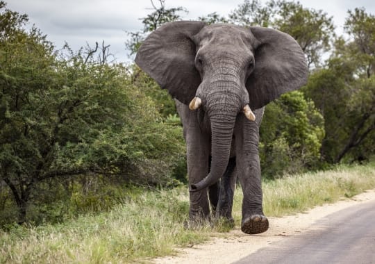 Pažintinė kelionė po Tanzaniją