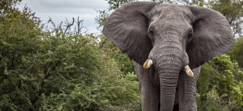 Pažintinė kelionė po Tanzaniją