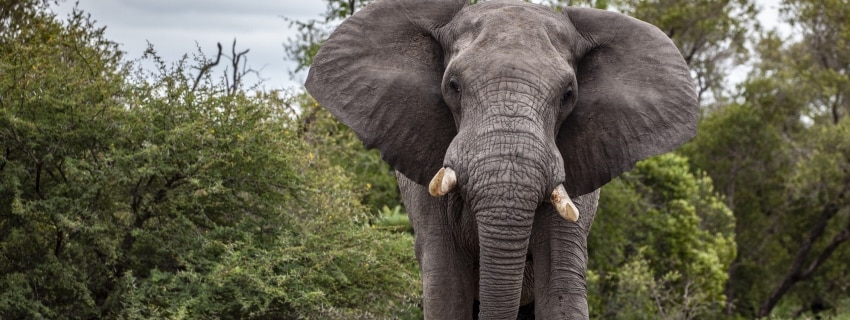 Pažintinė kelionė po Tanzaniją