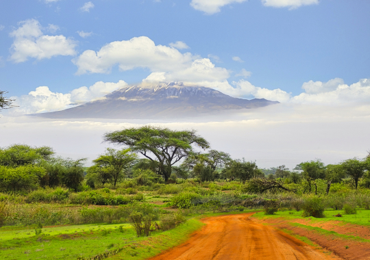 Kalnų žygis. Kilimandžaras
