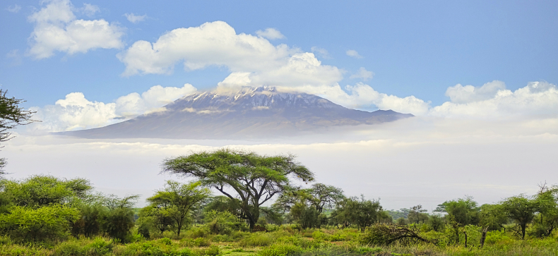 Kalnų žygis. Kilimandžaras