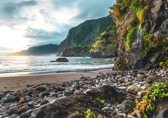 Madeira