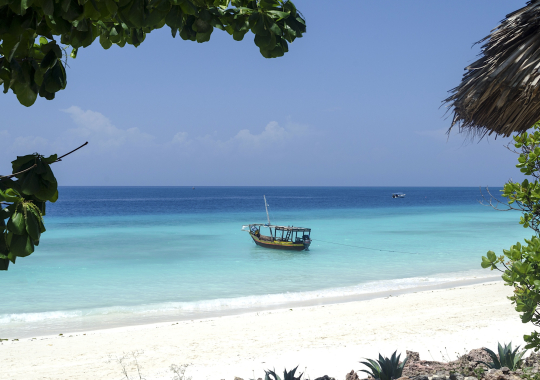 Zanzibaras
