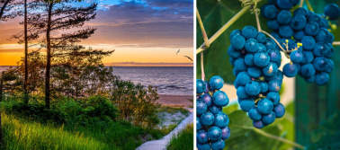 Poilsinė-pažintinė gurmaniška Latvija