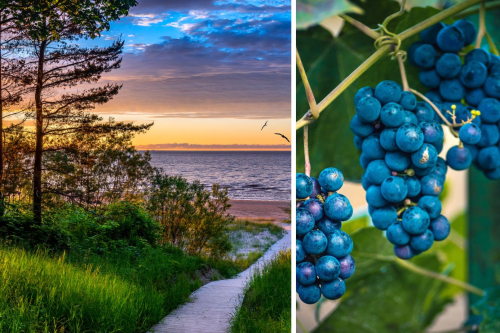 Poilsinė-pažintinė gurmaniška Latvija