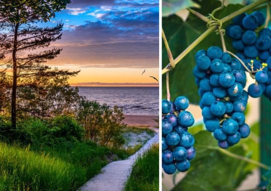 Poilsinė-pažintinė gurmaniška Latvija