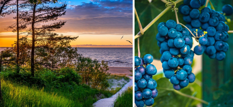 Poilsinė-pažintinė gurmaniška Latvija