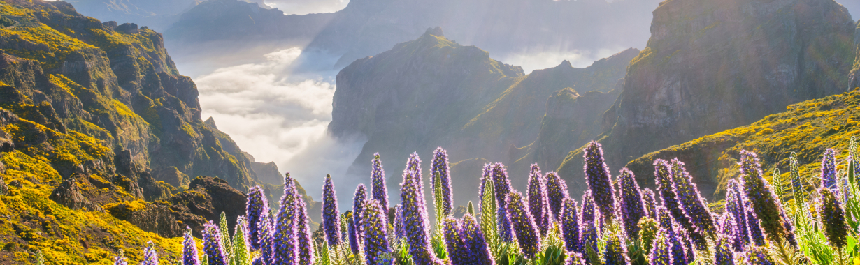 Madeira, „Dom Pedro Garajau“ 3*