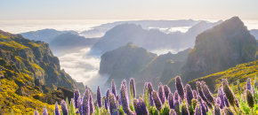 Madeira