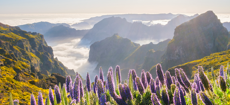 Madeira
