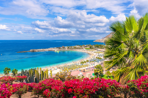 pasiūlymo viršelis