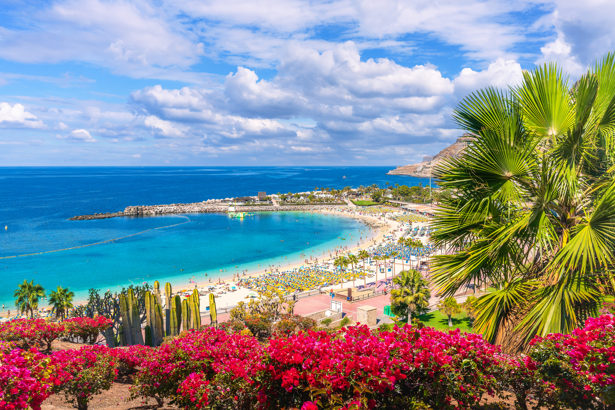 Kelionė į Gran Kanariją, Puerto Rico kurortą | Makalius.lt