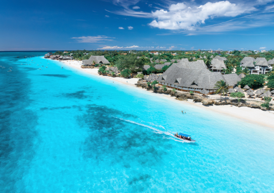 Zanzibaras