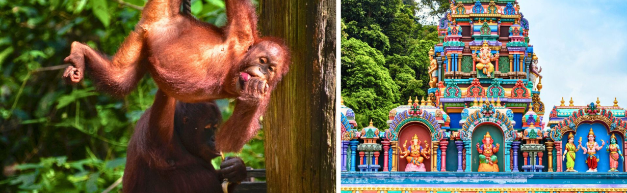 Malaizija ir Borneo sala