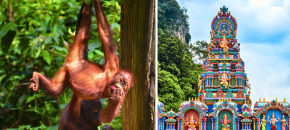 Malaizija ir Borneo sala