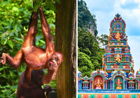 Malaizija ir Borneo sala