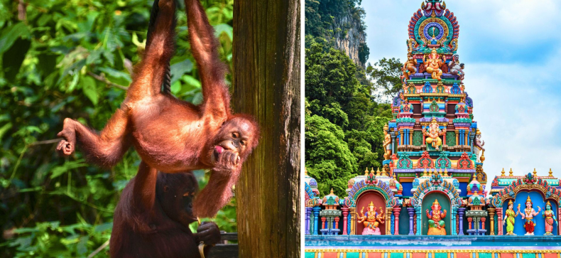 Malaizija ir Borneo sala