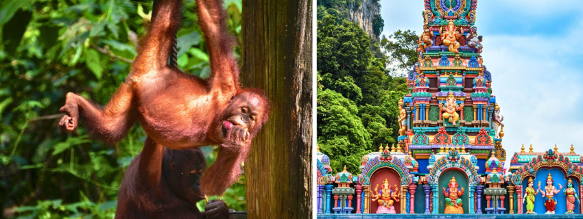 Malaizija ir Borneo sala