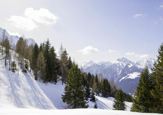 Italija, Pinzolo kurortas, „Garni La Palu“ 3*