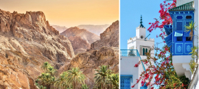 Spalvingasis Tunisas