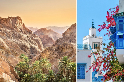 Spalvingasis Tunisas