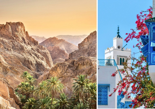 Spalvingasis Tunisas