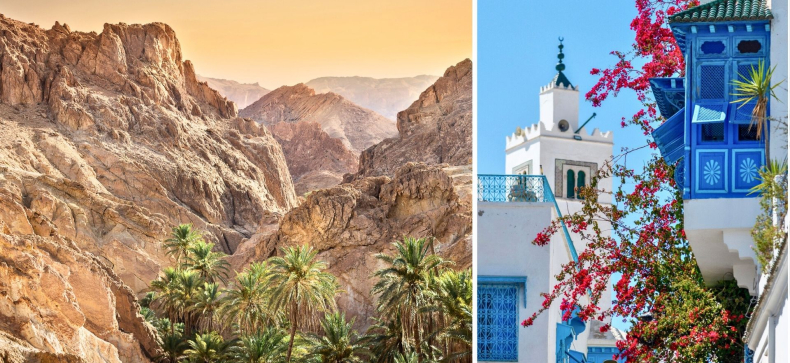 Spalvingasis Tunisas