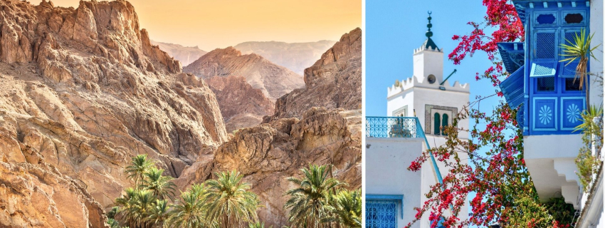 Spalvingasis Tunisas