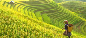 Žygis Šiaurės Vietname