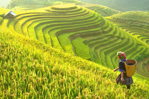 Žygis Šiaurės Vietname