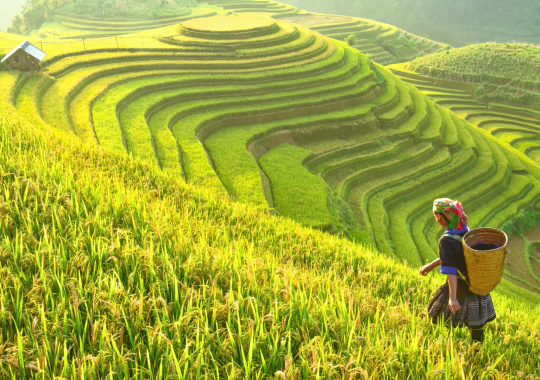 Žygis Šiaurės Vietname