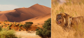 Safaris į Namibiją