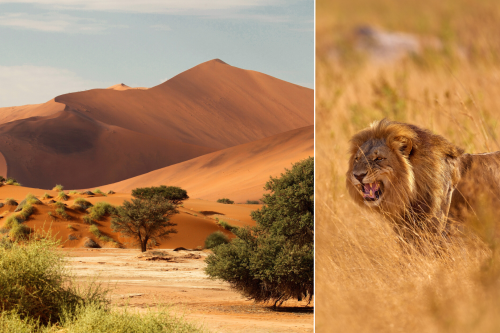 Safaris į Namibiją