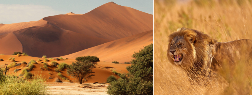 Safaris į Namibiją