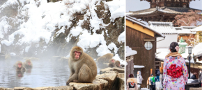 Kelionė į Japoniją žiemą