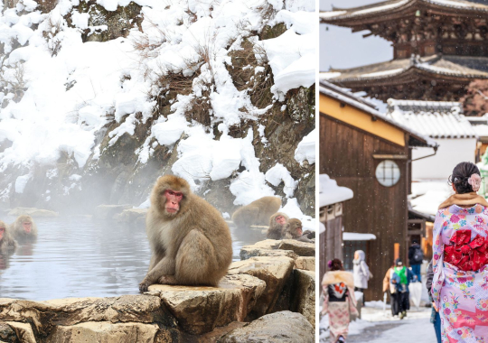 Kelionė į Japoniją žiemą