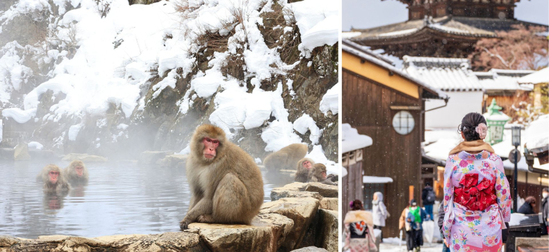 Kelionė į Japoniją žiemą