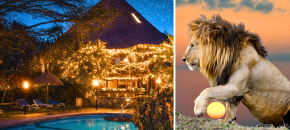 Naujieji Metai laukinėje Kenijoje