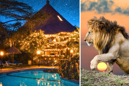 Naujieji Metai laukinėje Kenijoje