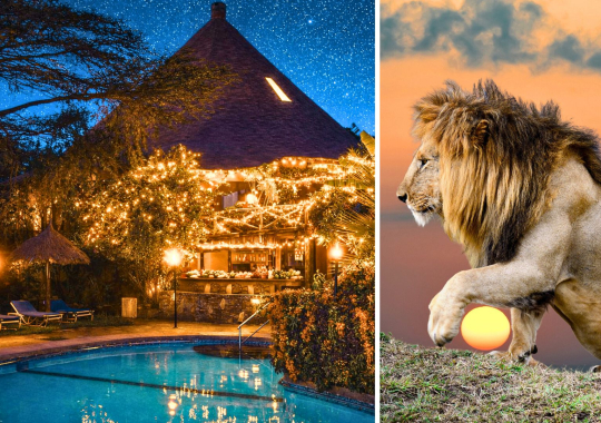 Naujieji Metai laukinėje Kenijoje