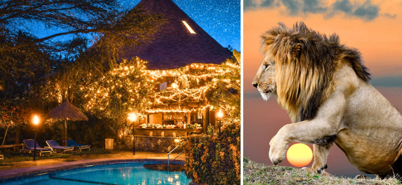 Naujieji Metai laukinėje Kenijoje