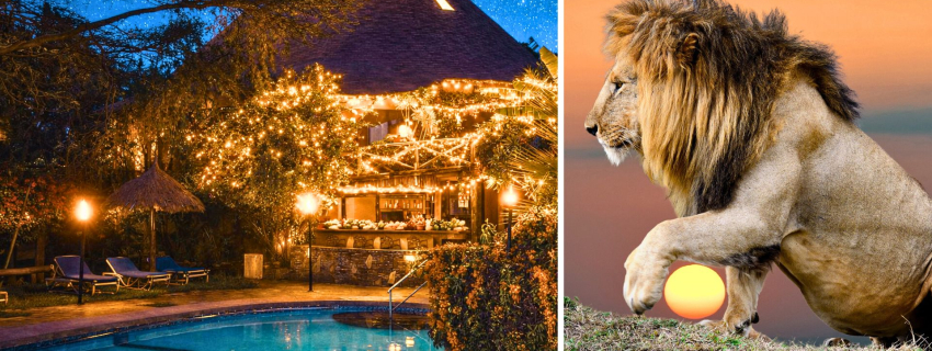 Naujieji Metai laukinėje Kenijoje