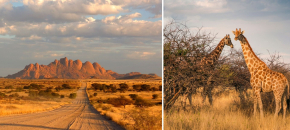 Pietų Afrikos Respublika ir Namibija