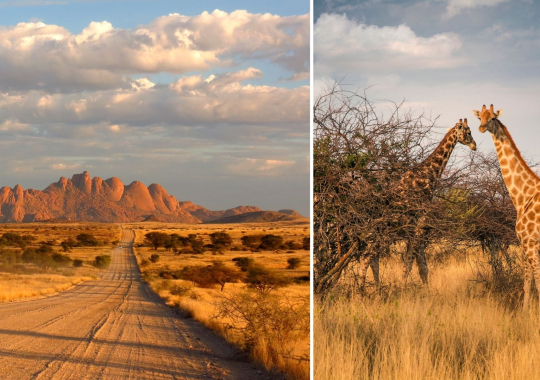 Pietų Afrikos Respublika ir Namibija