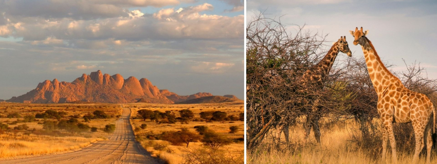 Pietų Afrikos Respublika ir Namibija